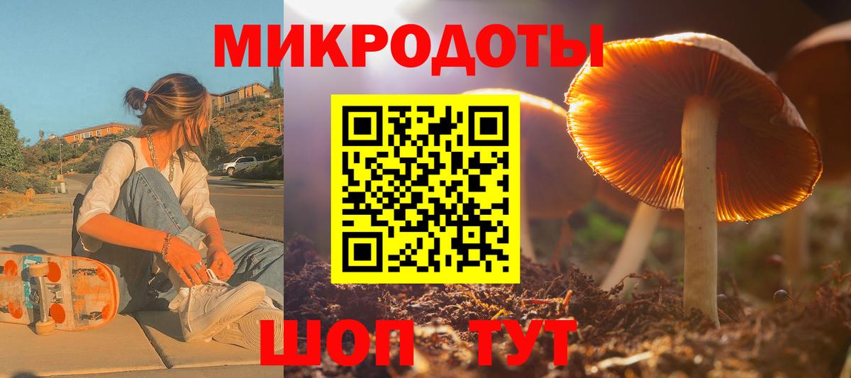 Псилоцибиновые грибы Psilocybe Каменск-Шахтинский