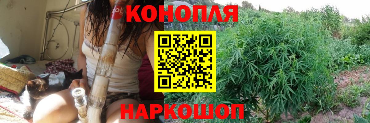 Бошки Шишки VHQ Каменск-Шахтинский